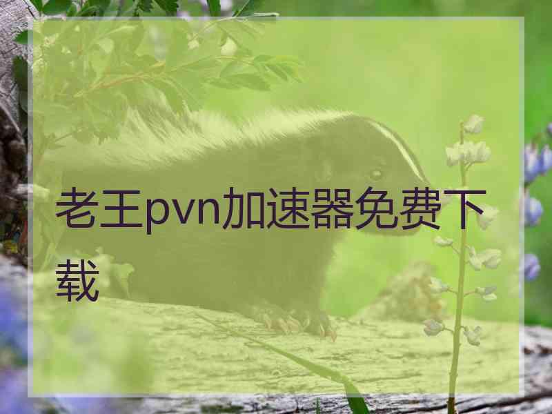 老王pvn加速器免费下载