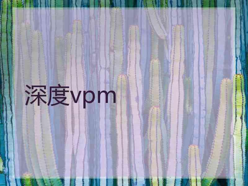 深度vpm