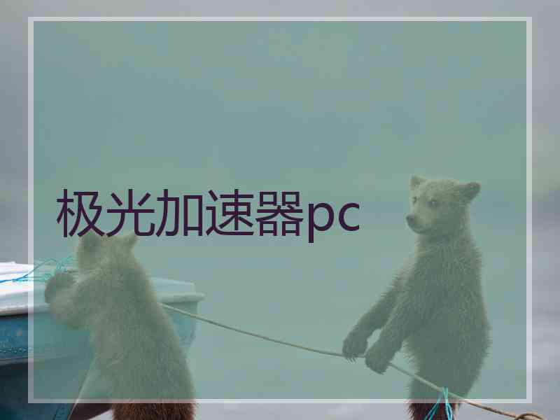 极光加速器pc