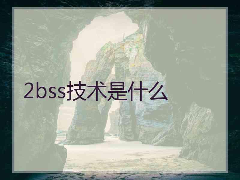 2bss技术是什么