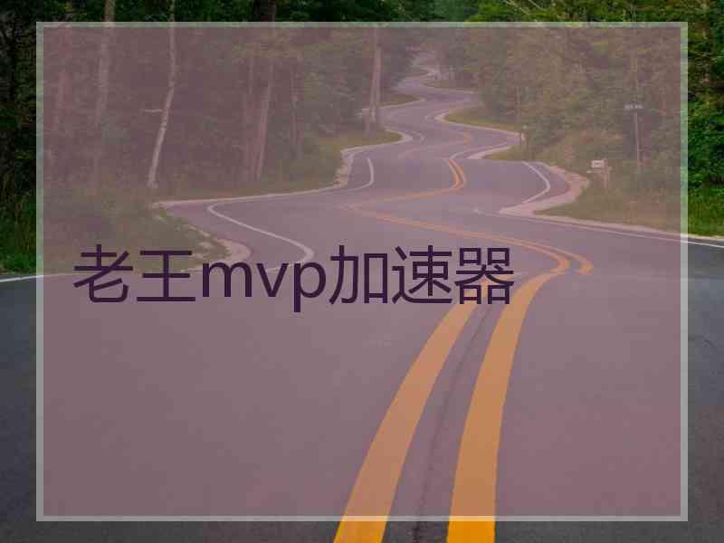 老王mvp加速器