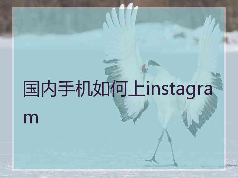 国内手机如何上instagram