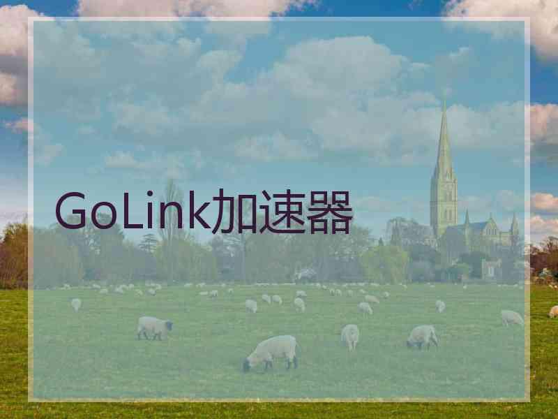 GoLink加速器