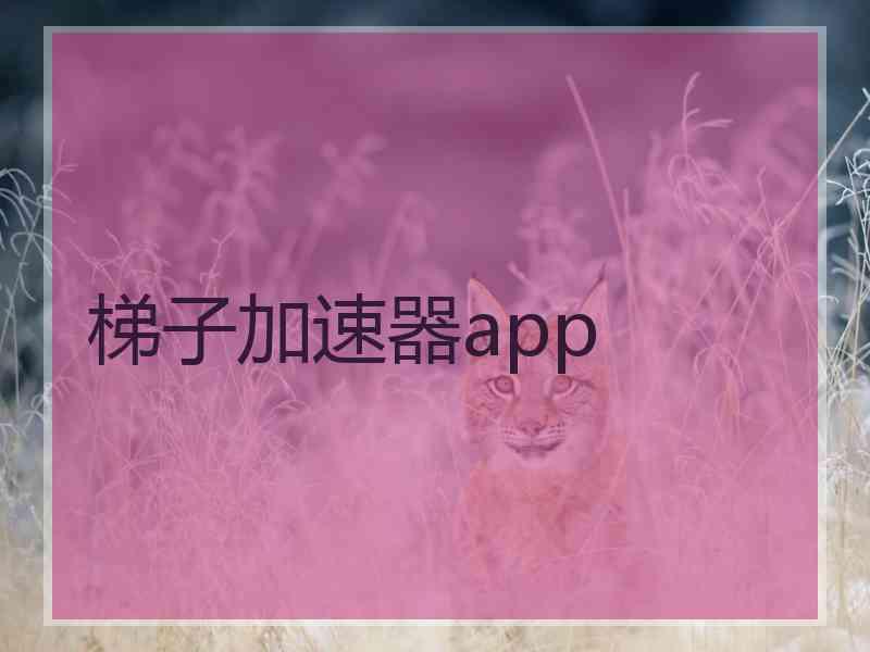 梯子加速器app