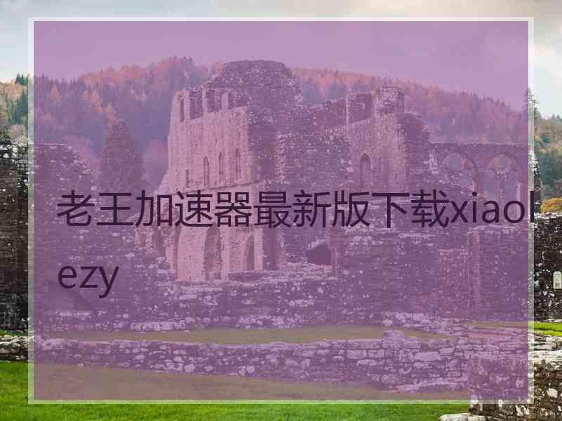 老王加速器最新版下载xiaolezy