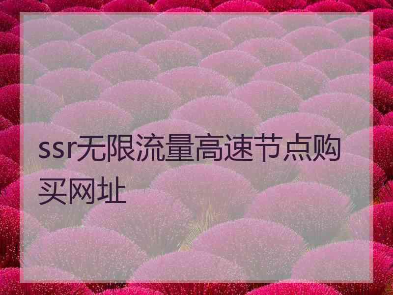 ssr无限流量高速节点购买网址