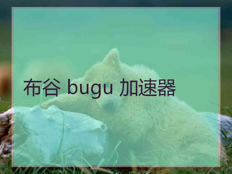 布谷 bugu 加速器