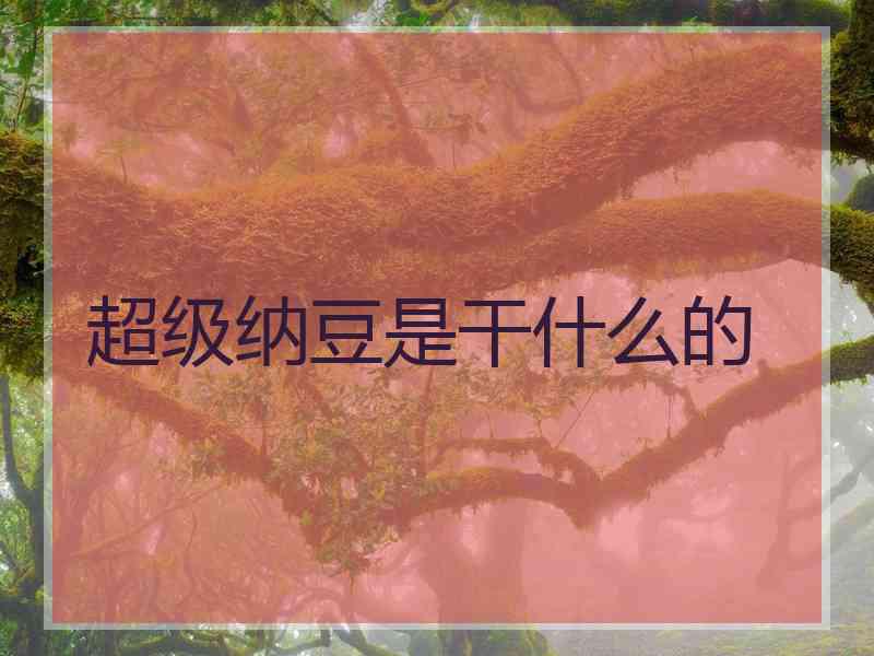 超级纳豆是干什么的