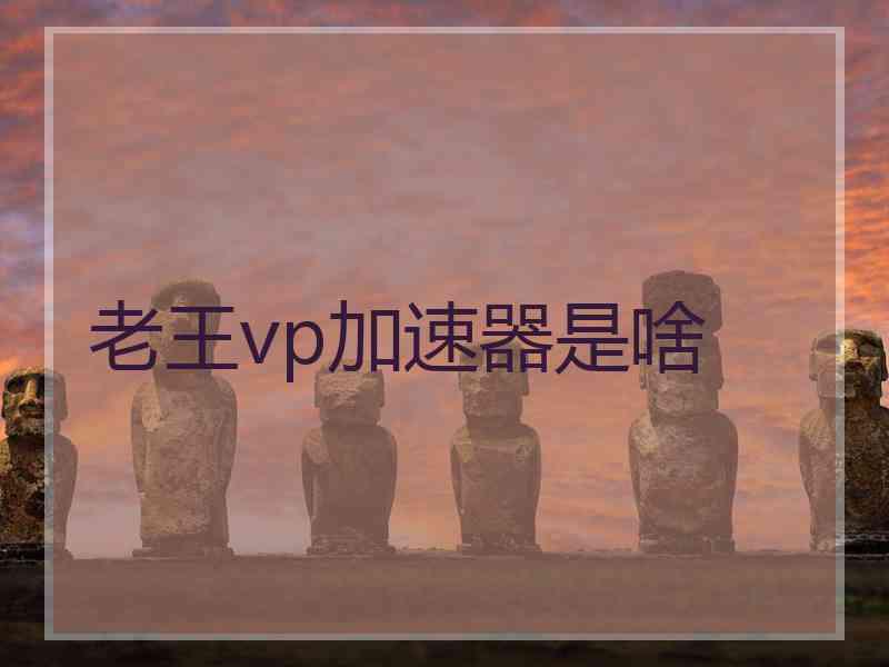 老王vp加速器是啥