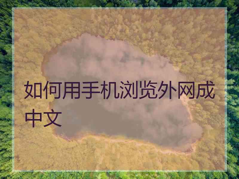 如何用手机浏览外网成中文