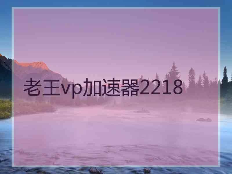 老王vp加速器2218