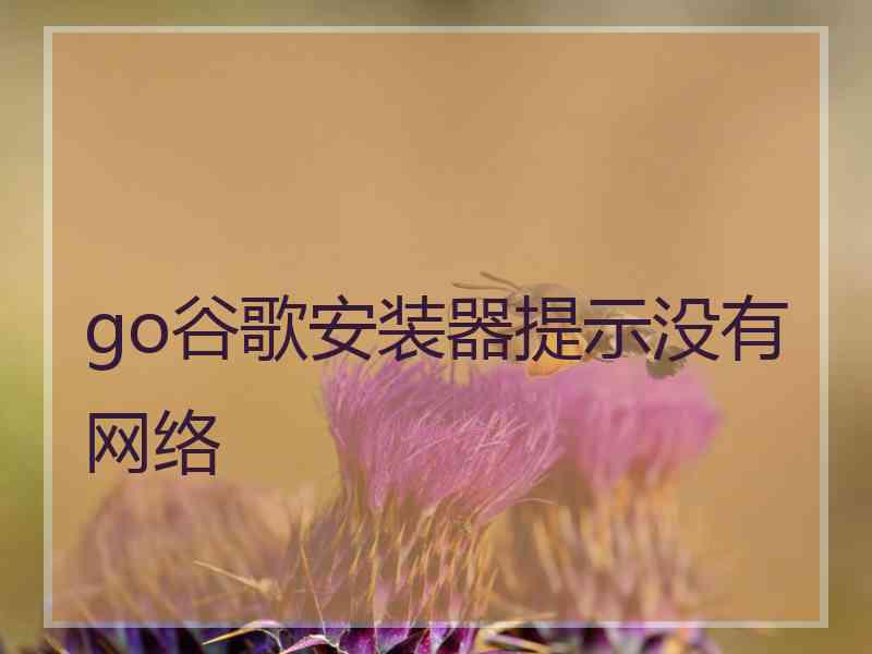 go谷歌安装器提示没有网络