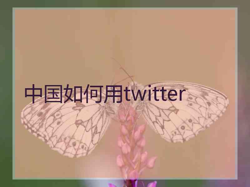 中国如何用twitter