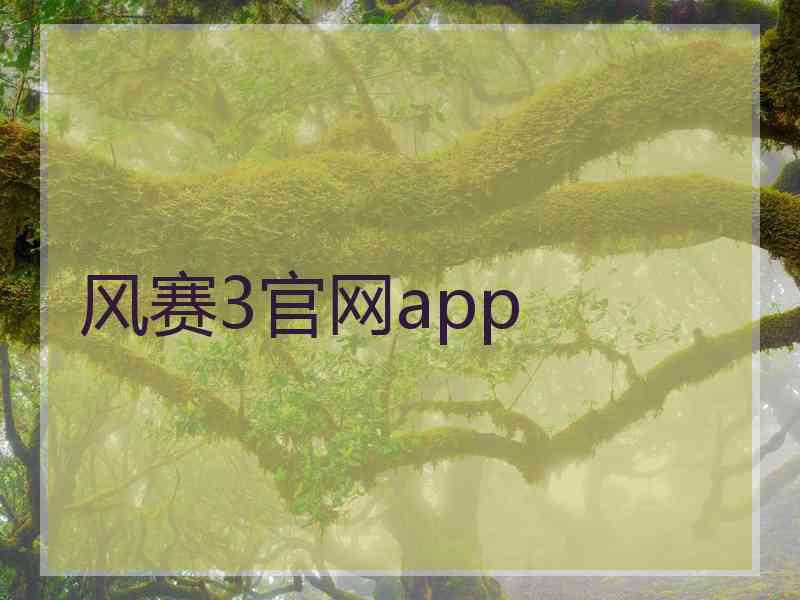 风赛3官网app