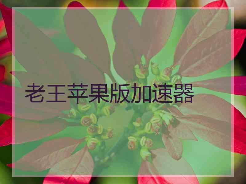 老王苹果版加速器