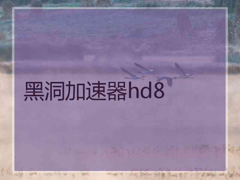 黑洞加速器hd8