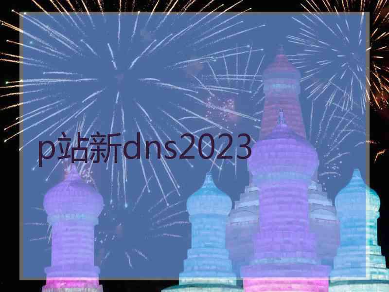 p站新dns2023