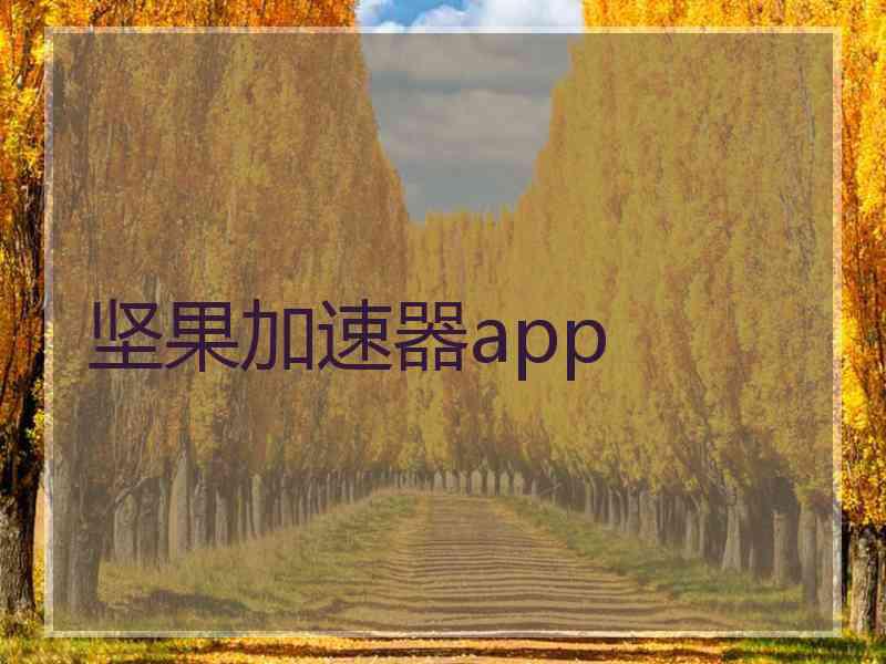 坚果加速器app