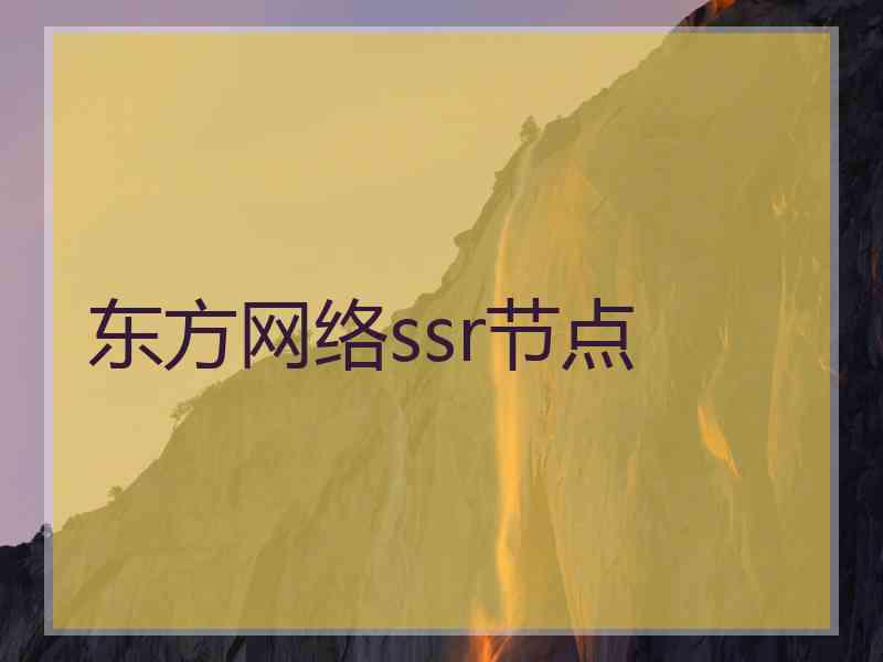 东方网络ssr节点