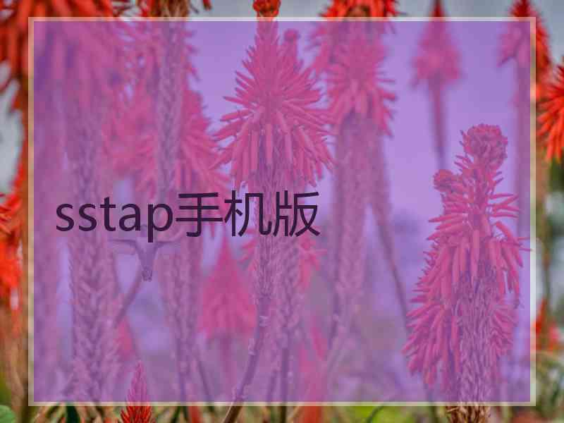 sstap手机版