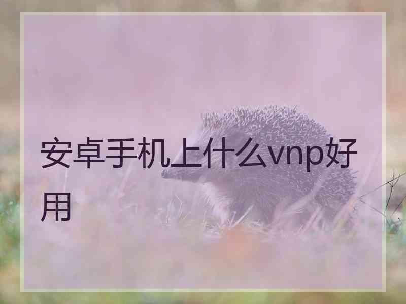 安卓手机上什么vnp好用