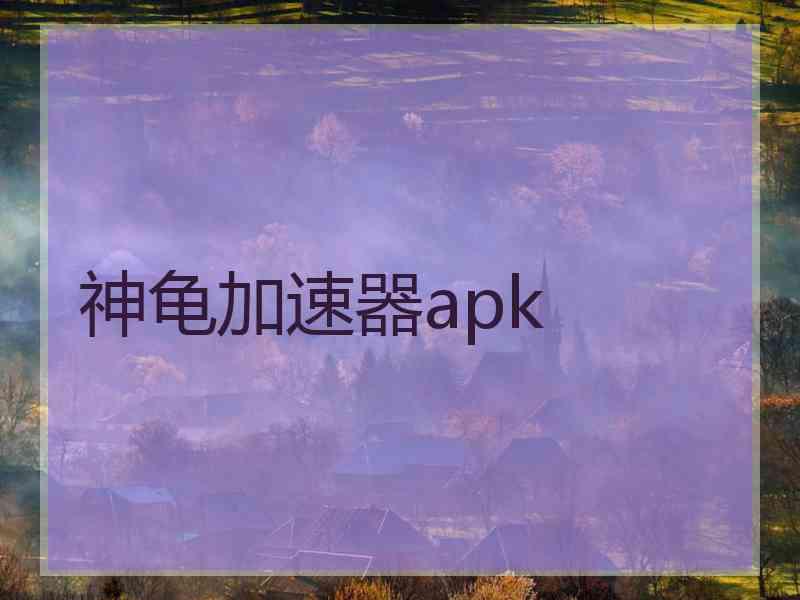 神龟加速器apk