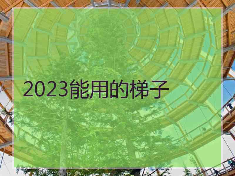 2023能用的梯子